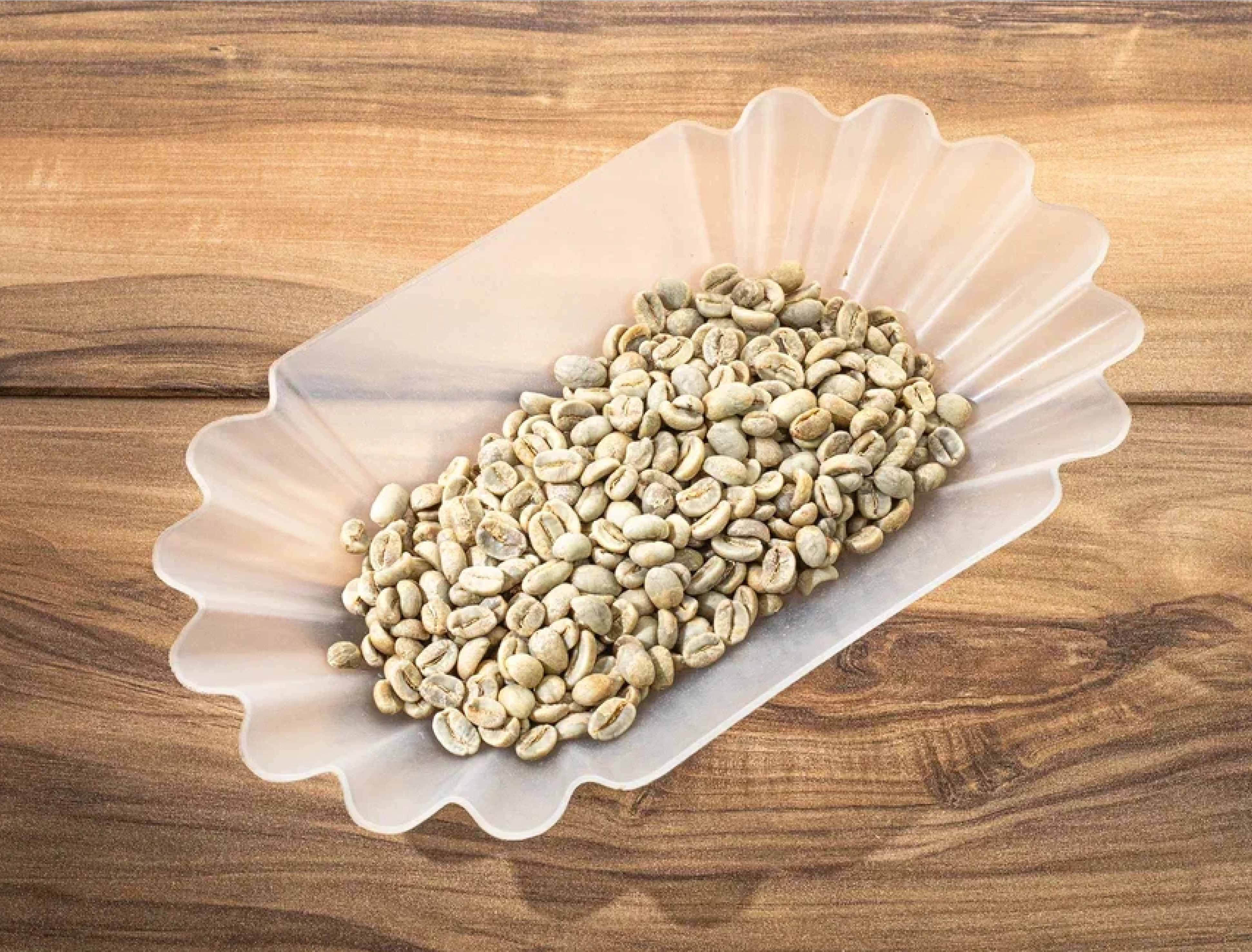 Nicaragua Arabica Coffee